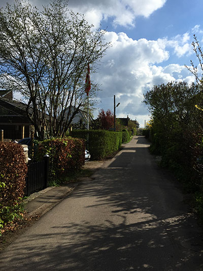 Birkevang-03