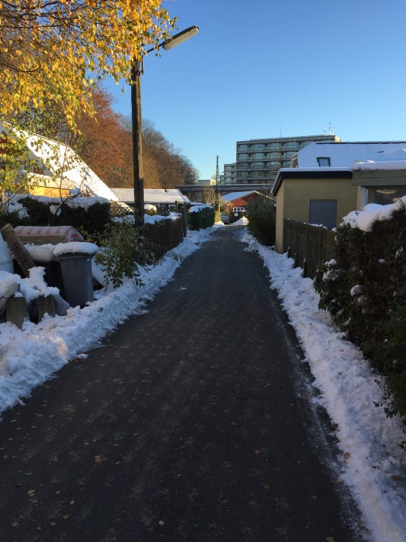 20151123_082931147_iOS (Medium)