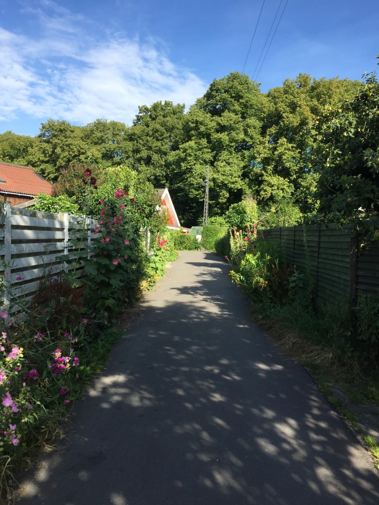 20150810_072956817_iOS (Medium)