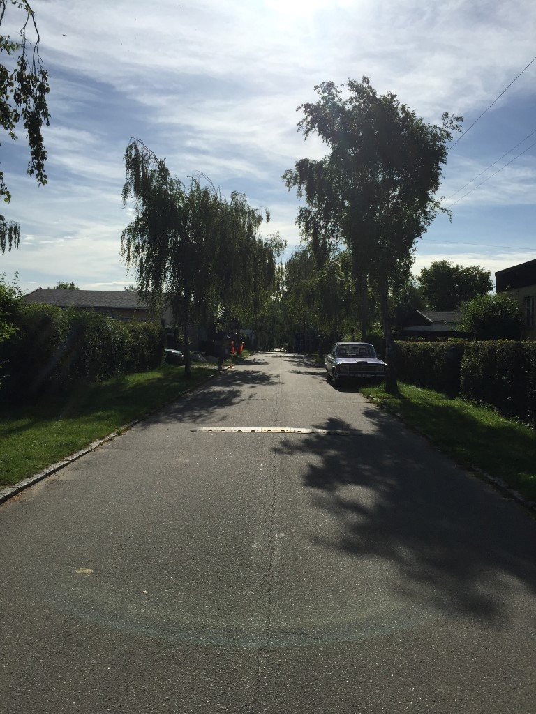 20150810_073513672_iOS (Medium)