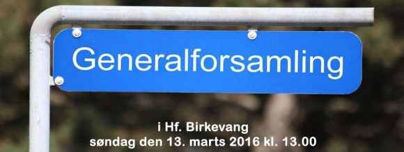 slider-generalforsamling