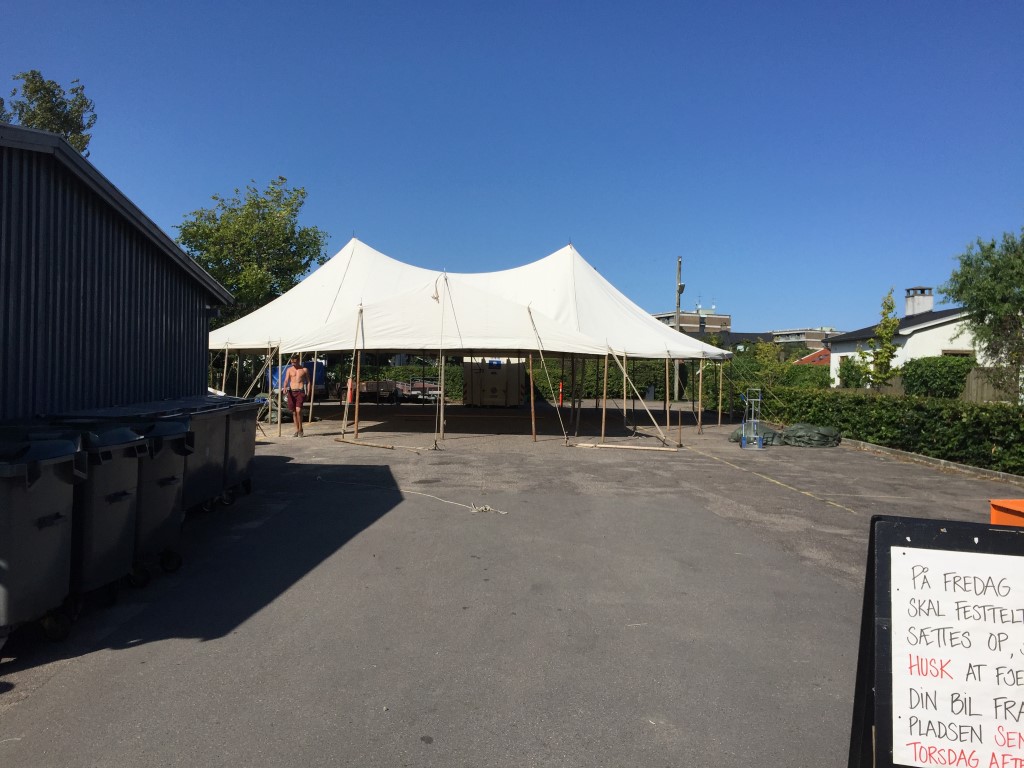 Sommerfest 2015 (8)