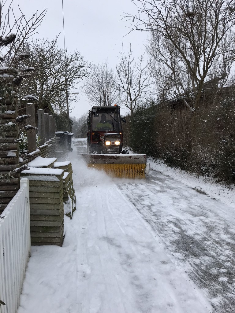 Birkevang (11)