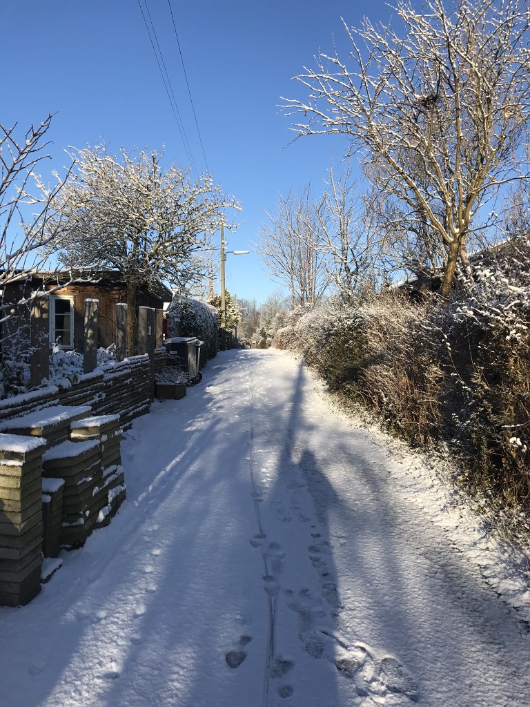 Birkevang (13)