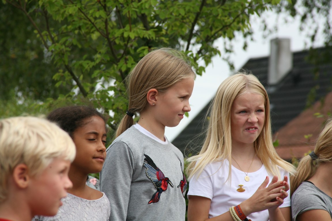 Sommerfest 2018 (44)