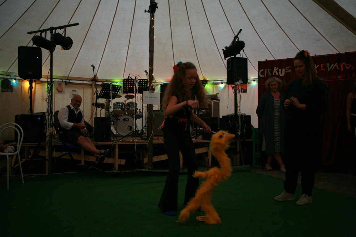 BV sommerfest 2019 (105)