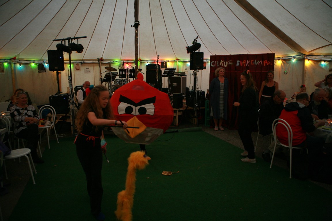 BV sommerfest 2019 (107)