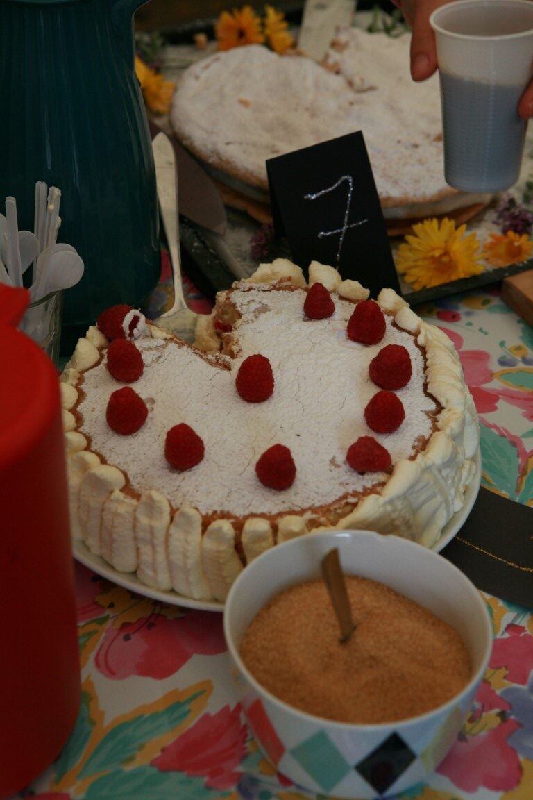 BV sommerfest 2019 (28)
