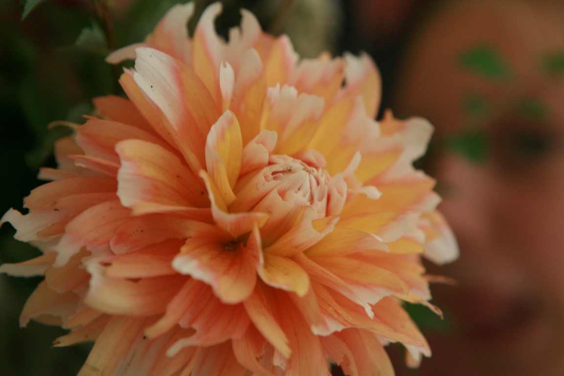 BV sommerfest 2019 (55)