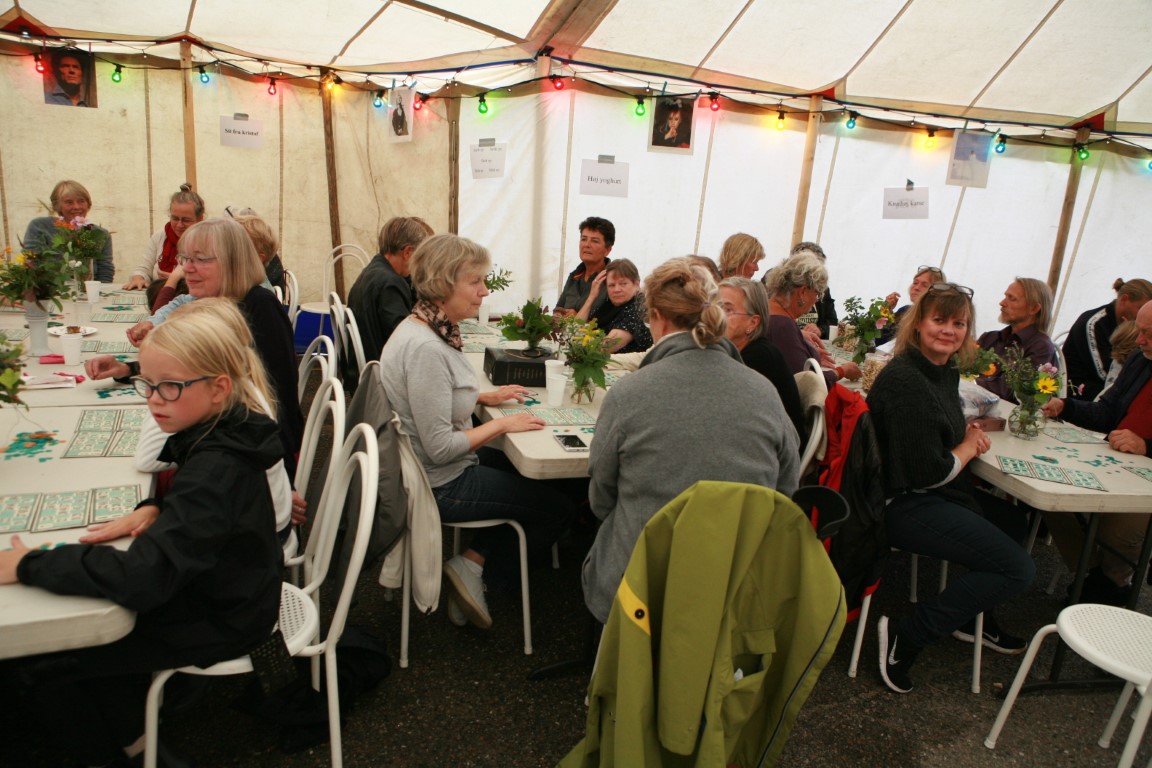BV sommerfest 2019 (71)