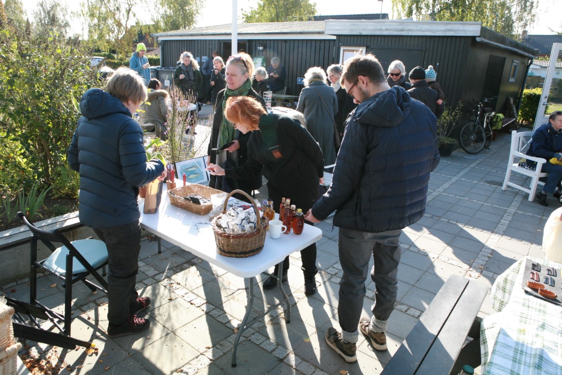 Høst_okt_2019 (5)