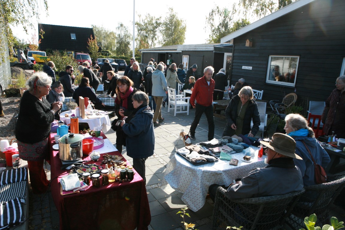 Høst_okt_2019 (9)