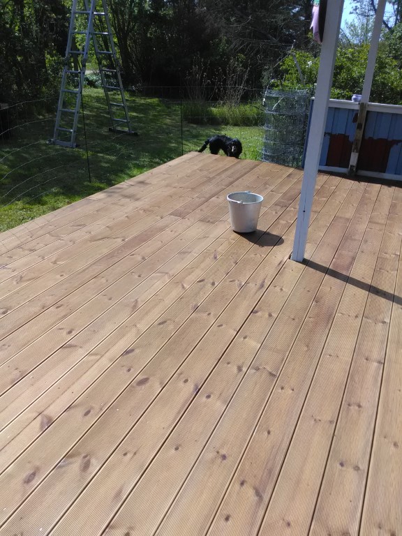 Bets sommerhus langelandd (1)