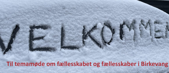 Visions-temamøde om fællesskaber i Birkevang